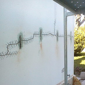 Proceso de reparación de grietas estructurales