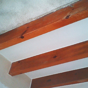 Tratamiento anti-moho